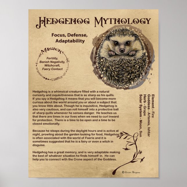 IGEL MYTHOLOGY POSTER (Vorne)
