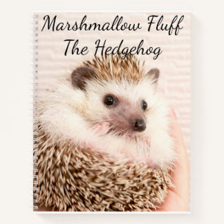 Igel Notizbuch