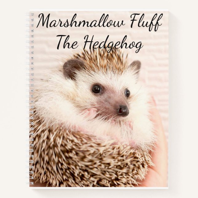 Igel Notizbuch (Vorderseite)