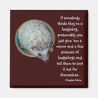 Igel- oder Personenteam Magnet