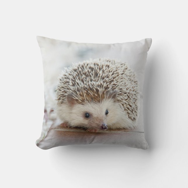 Igel Pillow Kissen (Vorderseite)