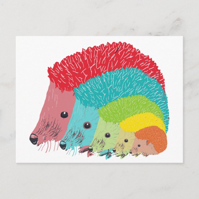 Igel Postkarte (Vorderseite)