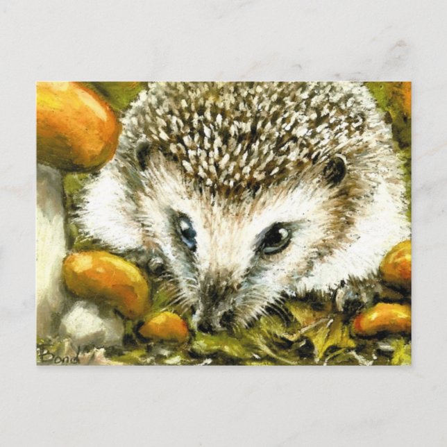 Igel Postkarte (Vorderseite)