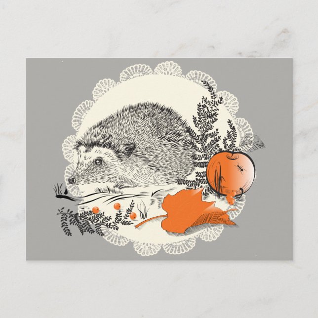 Igel Postkarte (Vorderseite)