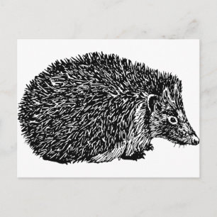 Igel Postkarte