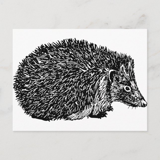 Igel Postkarte (Vorderseite)
