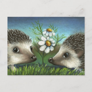Igel Postkarte