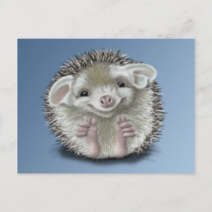 Igel Postkarte