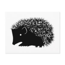 Igel-Postkarten