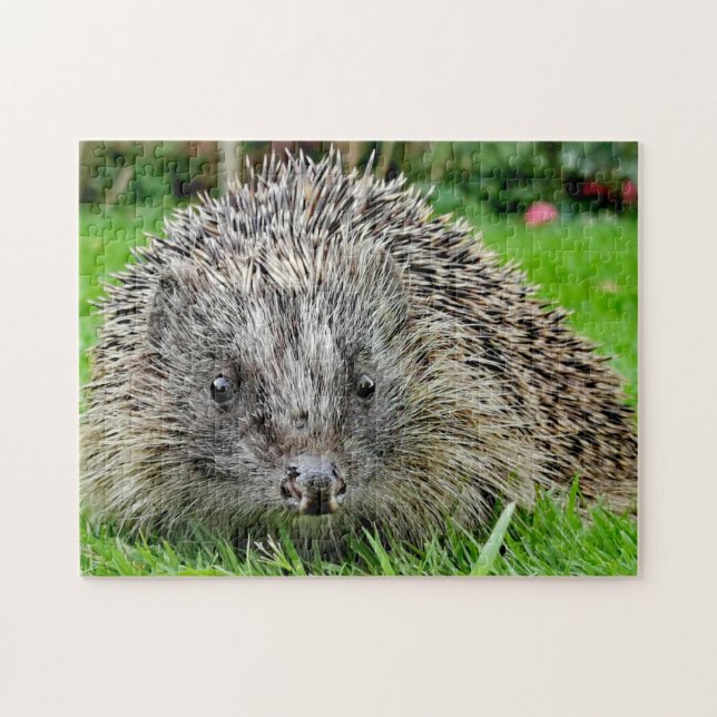 Igel Puzzle (Horizontal)