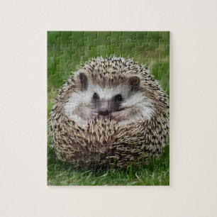 Igel Puzzle