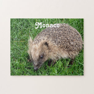 Igel Puzzle