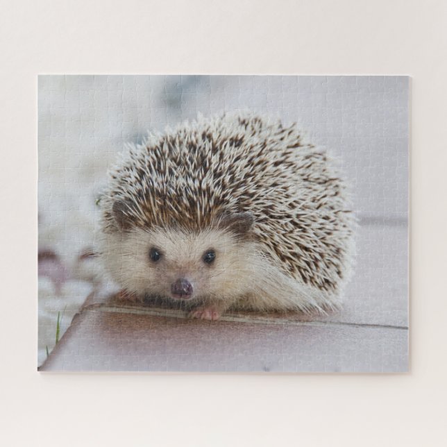Igel Puzzle (Horizontal)