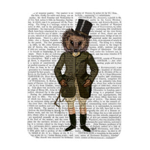 Igel Rider Full Magnet