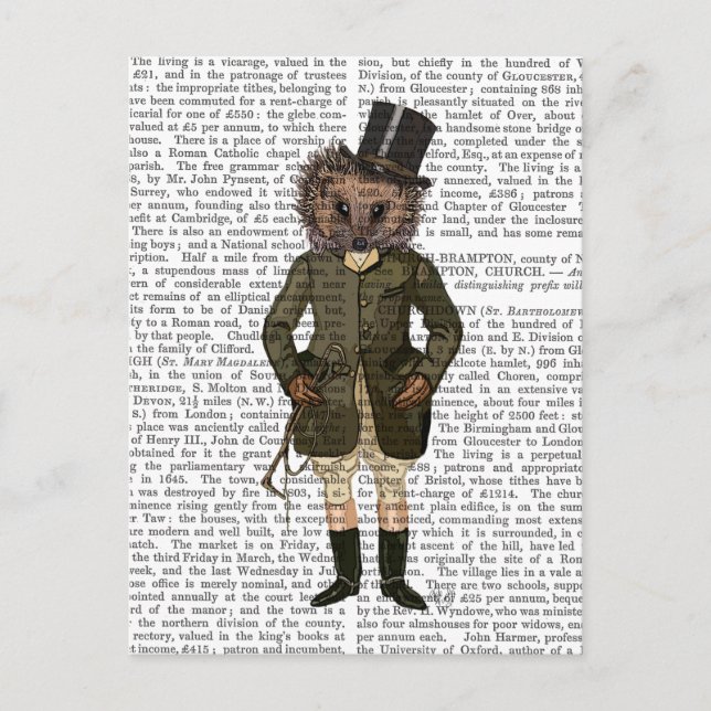 Igel Rider Full Postkarte (Vorderseite)