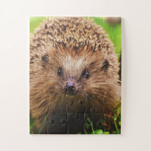Igel Seltsam erkunden in der Natur Puzzle