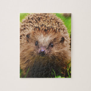 Igel Seltsam erkunden in der Natur Puzzle