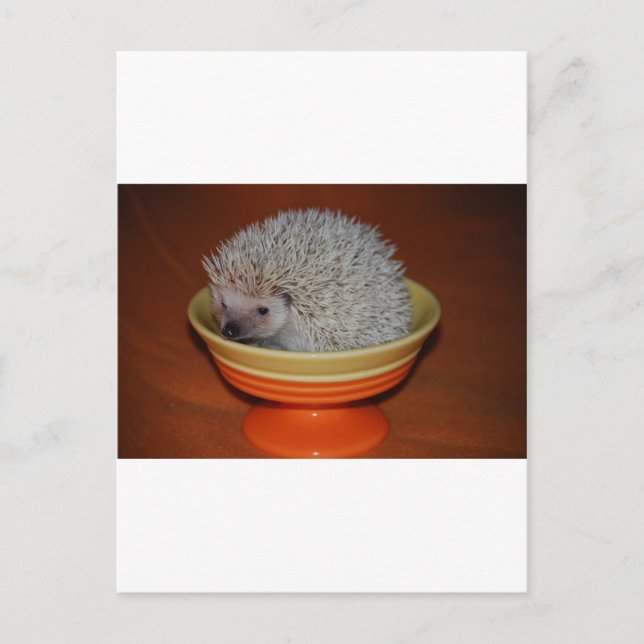 Igel Sundae Postkarte (Vorderseite)