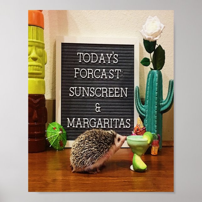 Igel Sunscreen und Margaritas Poster (Vorne)