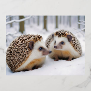 Igel Tier Natur Zuneigung Kümmern Folien Feiertagspostkarte