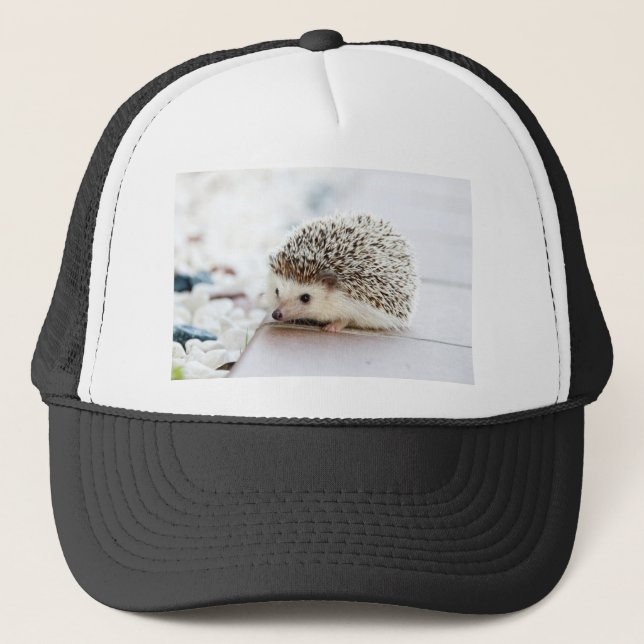 Igel Truckerkappe (Vorderseite)
