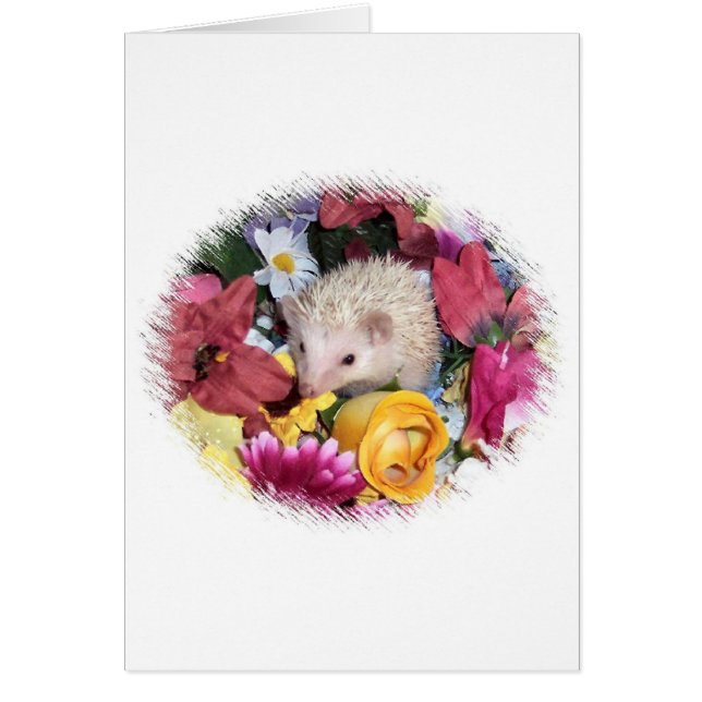 Igel unter den Blumen (Vorne)