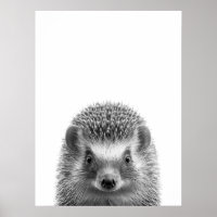 Igel Wald Moderne Porträt schwarz weiß