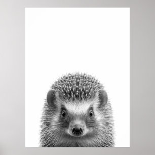 Igel Wald Moderne Porträt schwarz weiß Poster