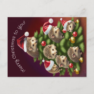 Igel-Weihnachtsbaum-Postkarte Postkarte