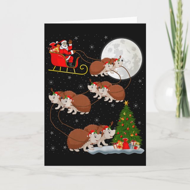 Igel Weihnachtsmann Schlitten Fliegend Lustig Magi Karte (Vorderseite)