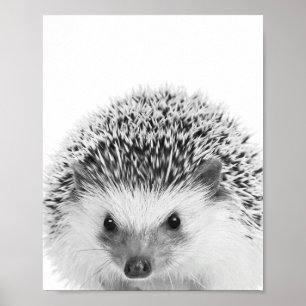 Igel Woodland Kids Room Decke Poster