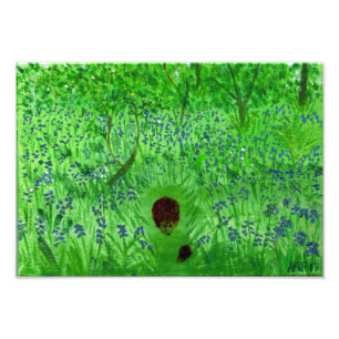 Igels Bluebell Woodland Malerei Fotodruck