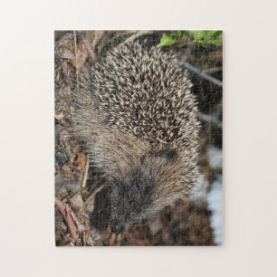 Igels-Foto-Puzzlespiel Puzzle