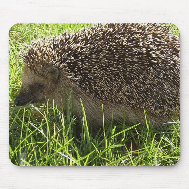 Igels-Mausunterlage Mousepad (Vorne)