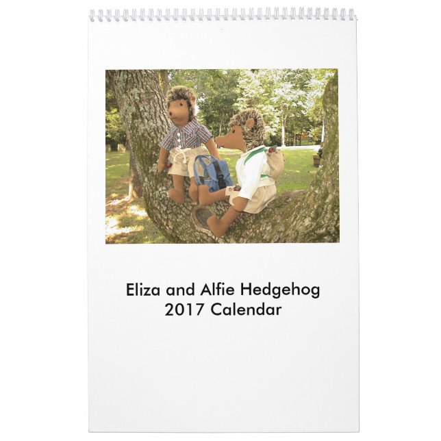 Igels-Puppen-Kalender 2017 Kalender (Titelbild)