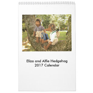 Igels-Puppen-Kalender 2017 Kalender