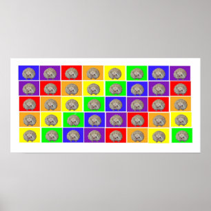 Igels-Regenbogen Poster