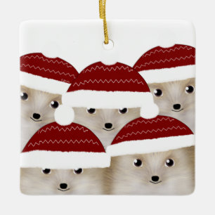 Igels Square Keramik Ornament