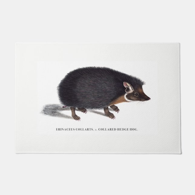 Igels-Tür-Matte Fußmatte (Vorderseite)