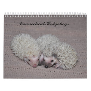 Igelsbabykalender Kalender