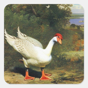 IGF-Aufkleber Quadratischer Aufkleber