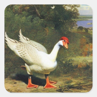 IGF-Aufkleber Quadratischer Aufkleber