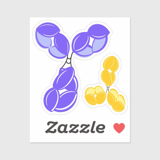 IgG 1 oder 4, lila und gelb Aufkleber (Blatt)