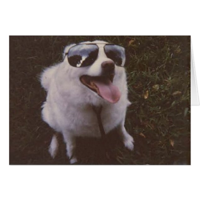 Igie durch friedwild (Vorderseite (Horizontal))