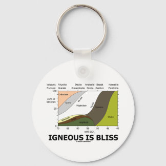Igneous ist Bliss (Geologie Ignoranz ist Bliss) Schlüsselanhänger