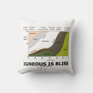 Igneous ist Bliss Silica Geologie Spaß Kissen