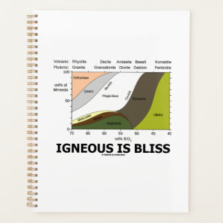 Igneous ist Bliss Silica Geologie Spaß Planer
