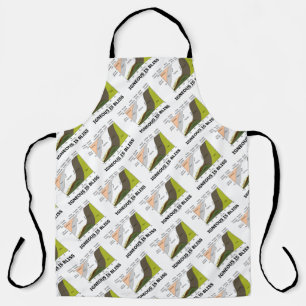 Igneous ist Bliss Silica Geologie Spaß Schürze