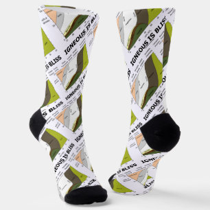 Igneous ist Bliss Silica Geologie Spaß Socken