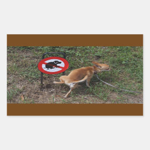 Ignoranz ist Bliss Bad Chihuahua Rechteckiger Aufkleber